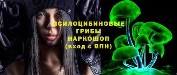 индика Алексин