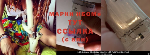 ПСИЛОЦИБИНОВЫЕ ГРИБЫ Алзамай