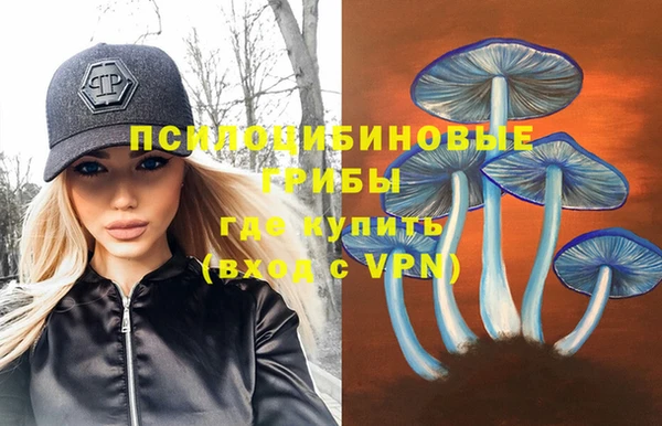 индика Алексин