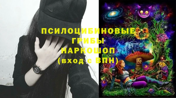 ПСИЛОЦИБИНОВЫЕ ГРИБЫ Алзамай