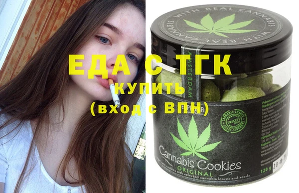 индика Алексин