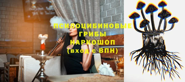 индика Алексин