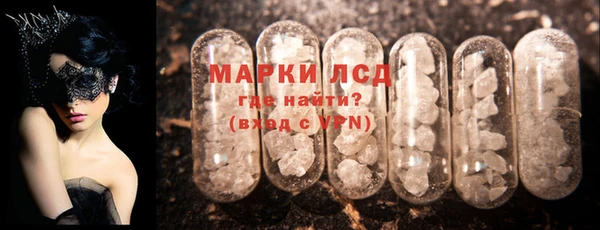 индика Алексин