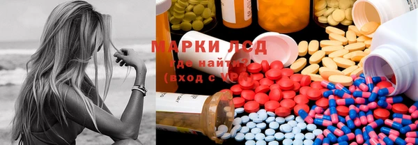 индика Алексин