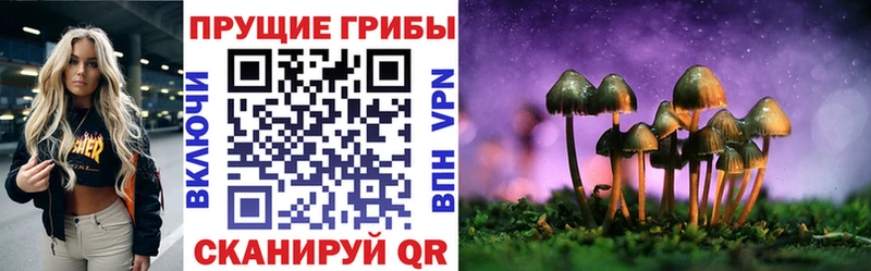 Галлюциногенные грибы ЛСД  цены   Мещовск 